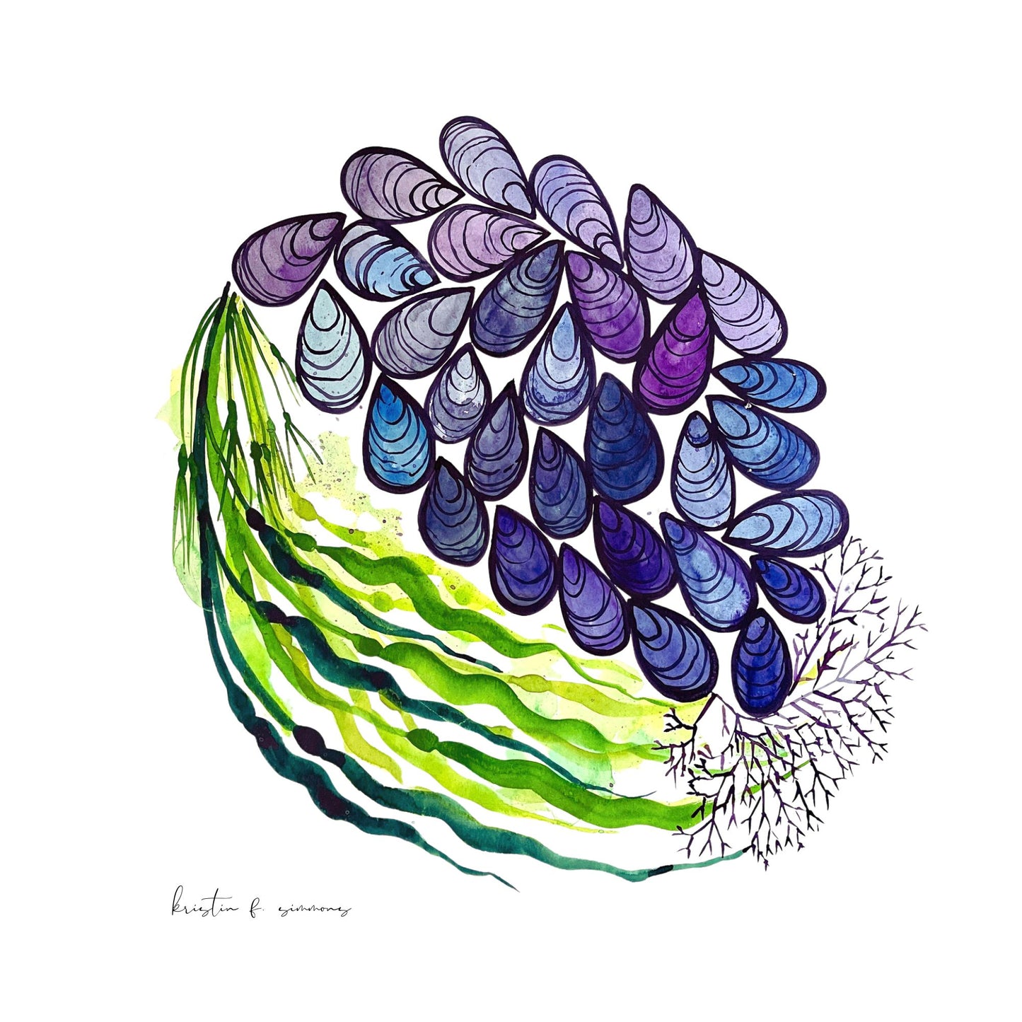 Mussels & Kelp