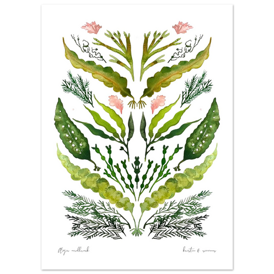 9bd8923c-97e1-49ee-a3ee-ca93b4304369