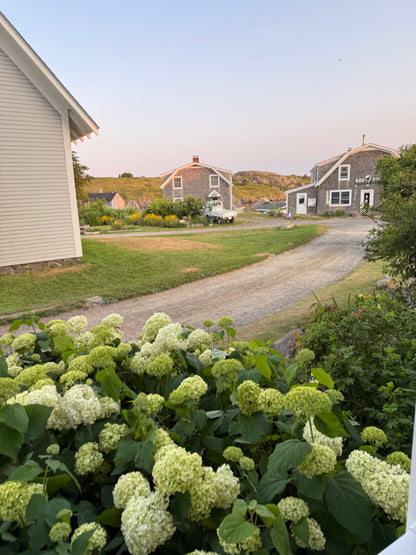 Monhegan Watercolor Art Retreat 2027 ~ July 23-27 Session 2