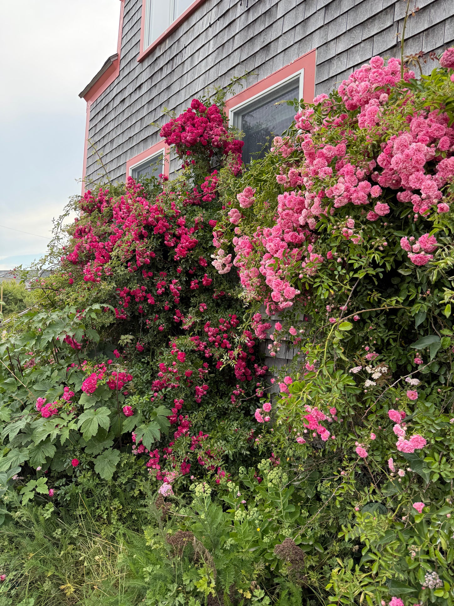 Monhegan Watercolor Art Retreat 2027 ~ July 23-27 Session 2