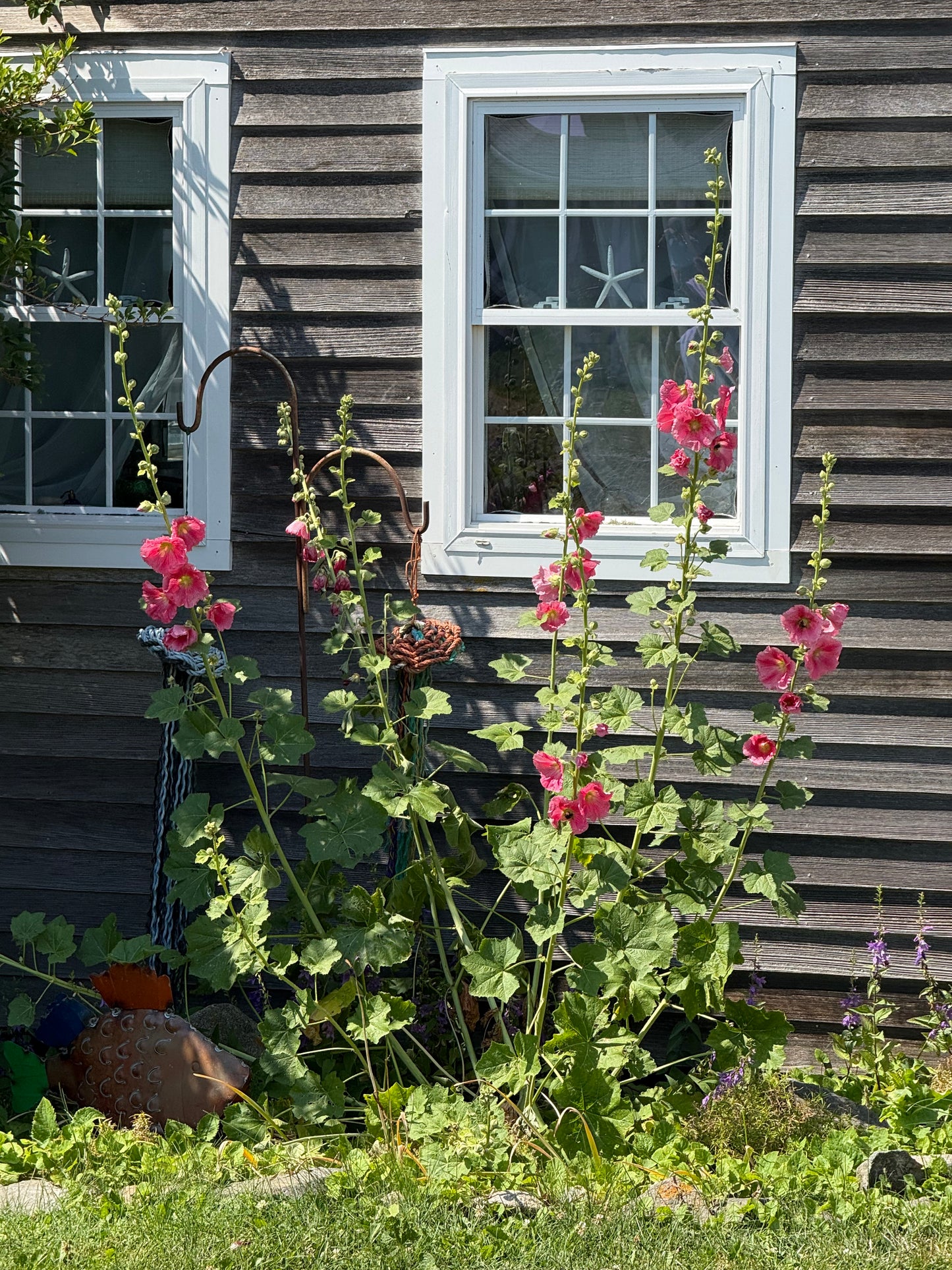 Monhegan Watercolor Art Retreat 2027 ~ July 23-27 Session 2
