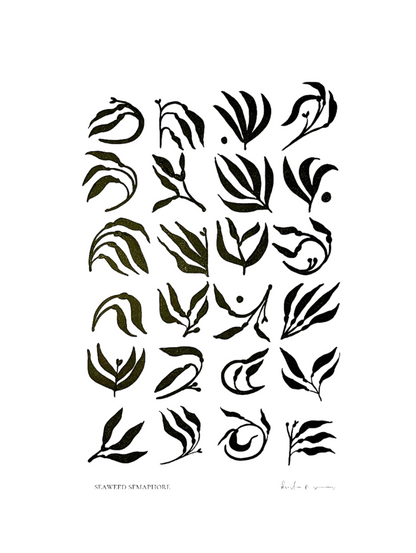 Seaweed Sempahore Fine Art Print Balck and White Fine Art Home Decor depicting rock weed from the coast of maine