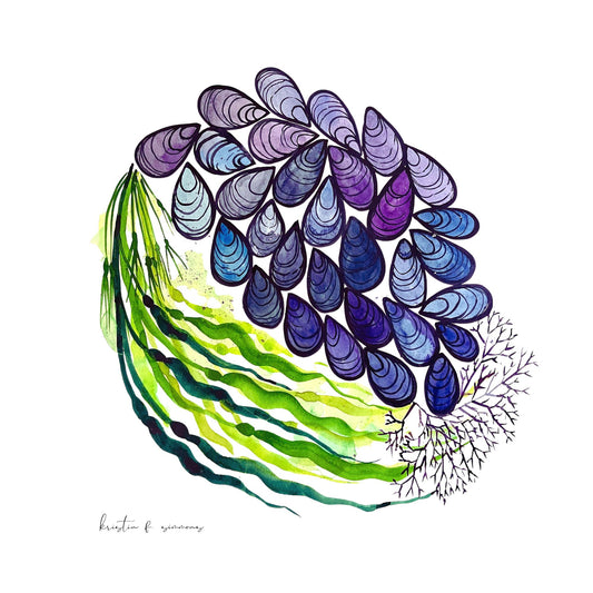 Mussels & Kelp