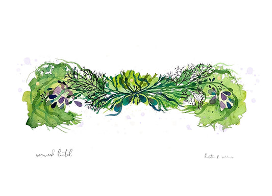 Seaweed Lintel